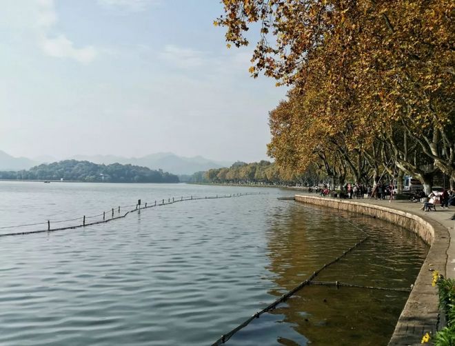 我去西湖跑半马，偶遇跑者施一公