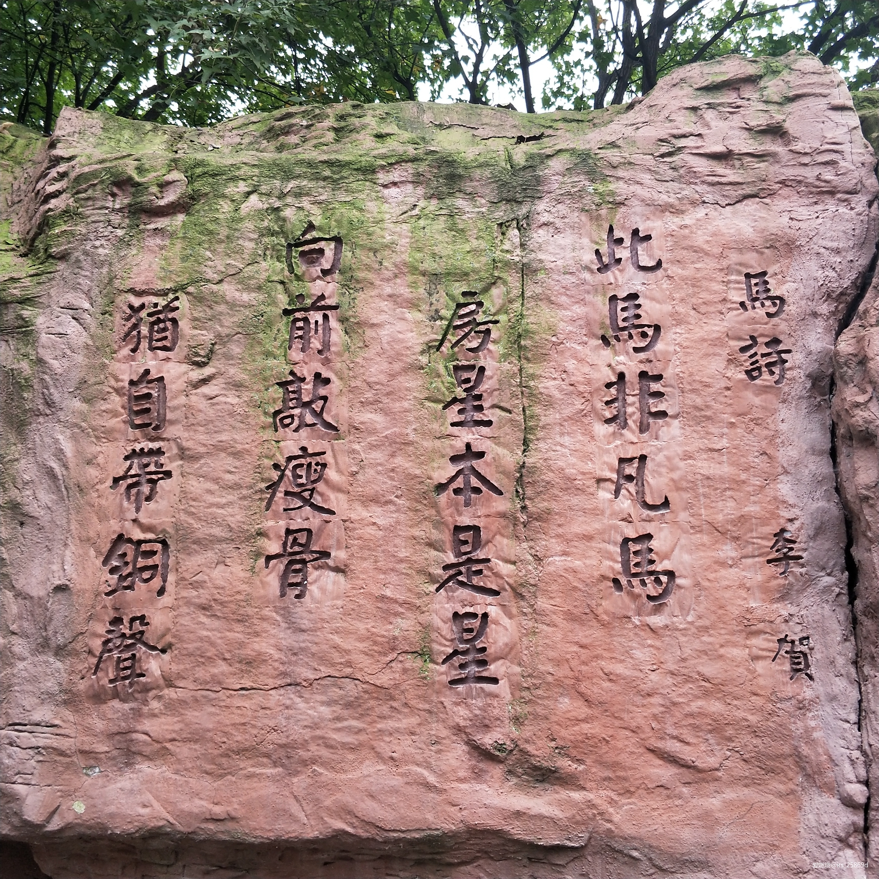 马踏长安，铜声铮铮