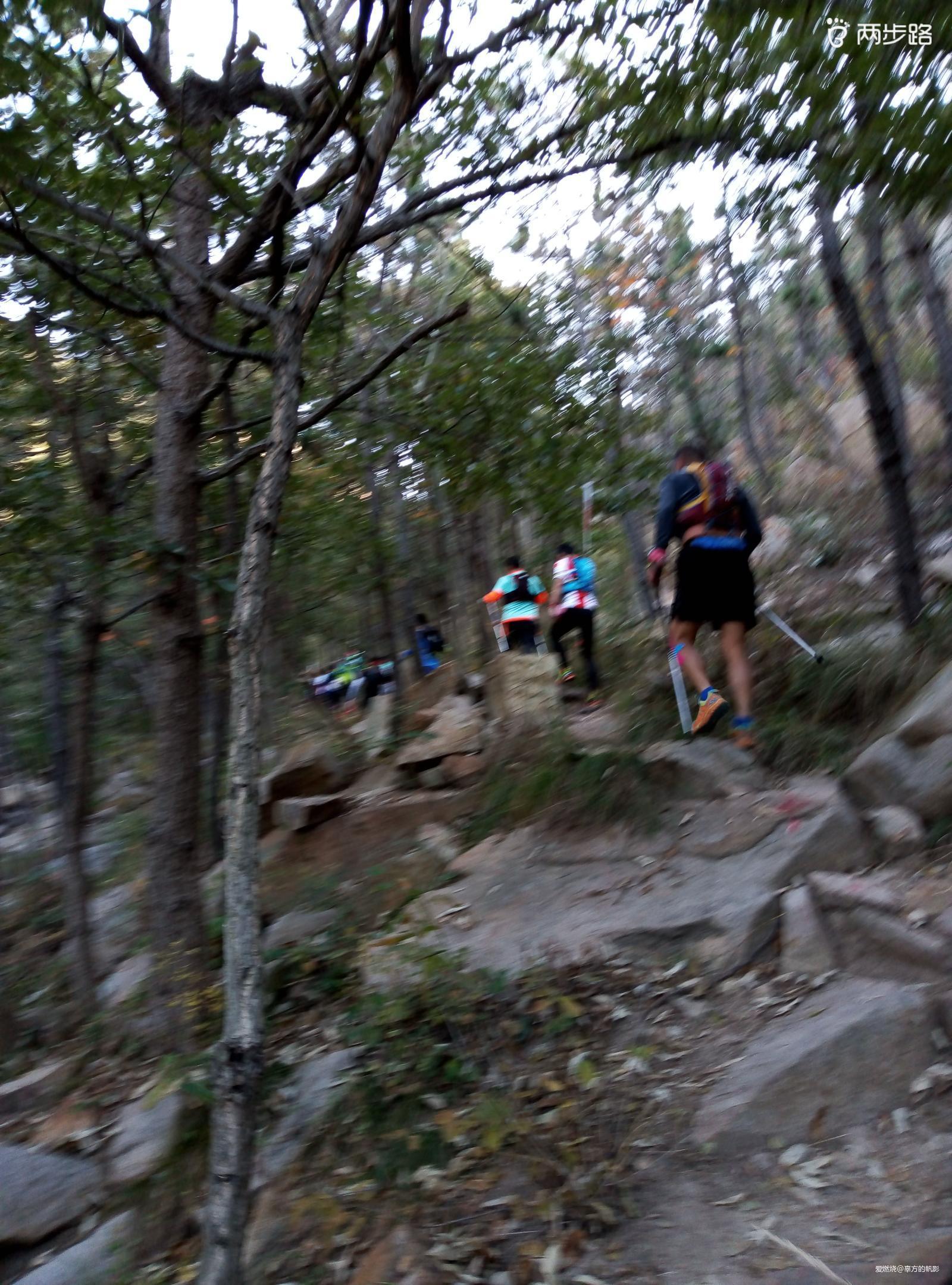 与其苦练穿墙术 不如逐鹿山海间——崂山100国际山地越野赛参赛回顾