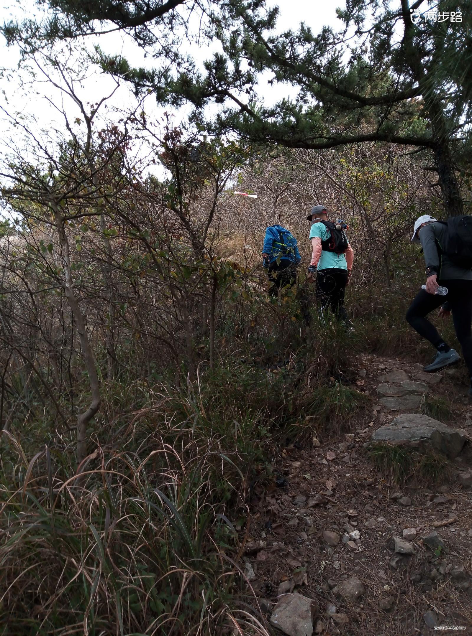 与其苦练穿墙术 不如逐鹿山海间——崂山100国际山地越野赛参赛回顾