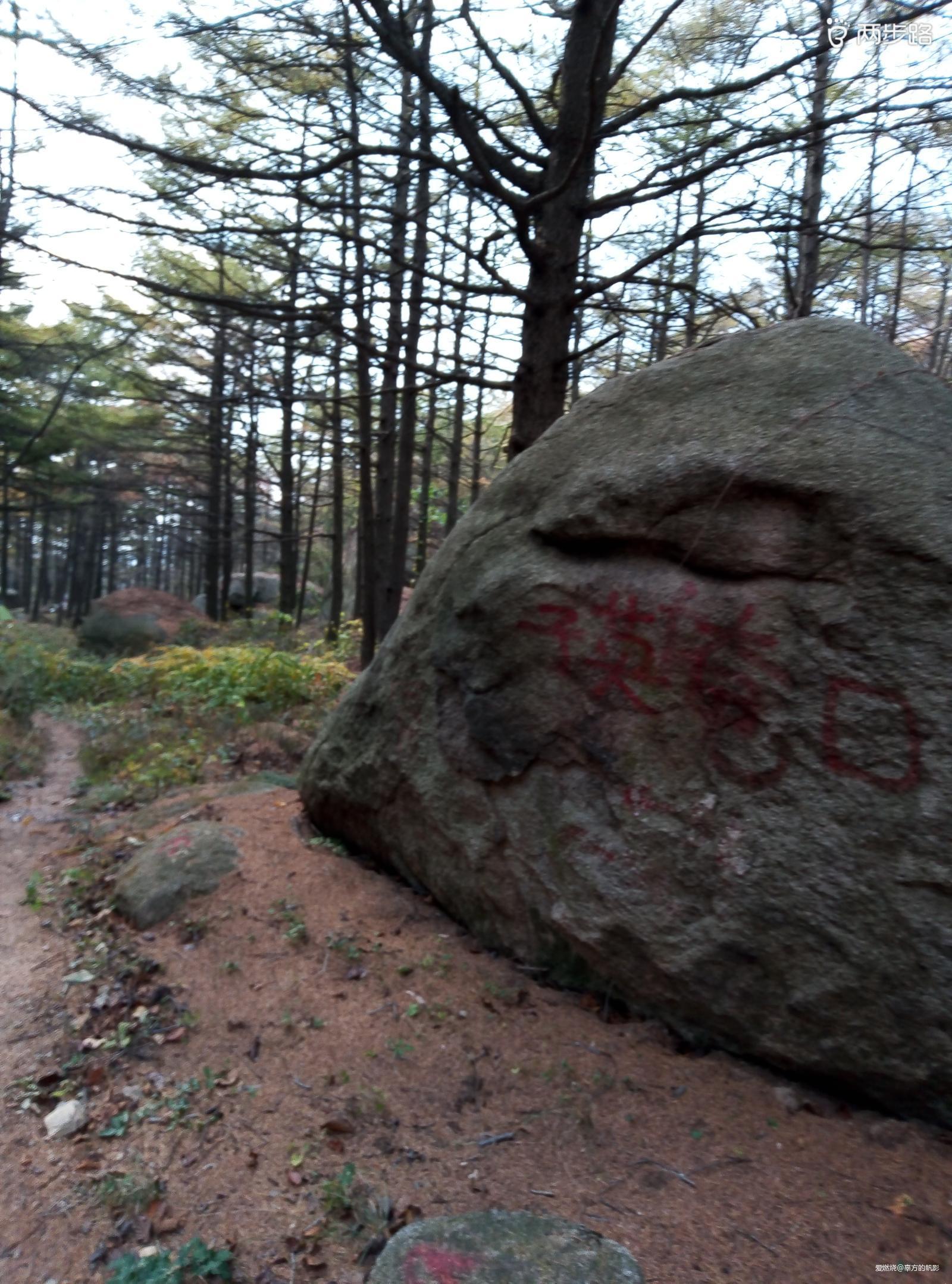 与其苦练穿墙术 不如逐鹿山海间——崂山100国际山地越野赛参赛回顾