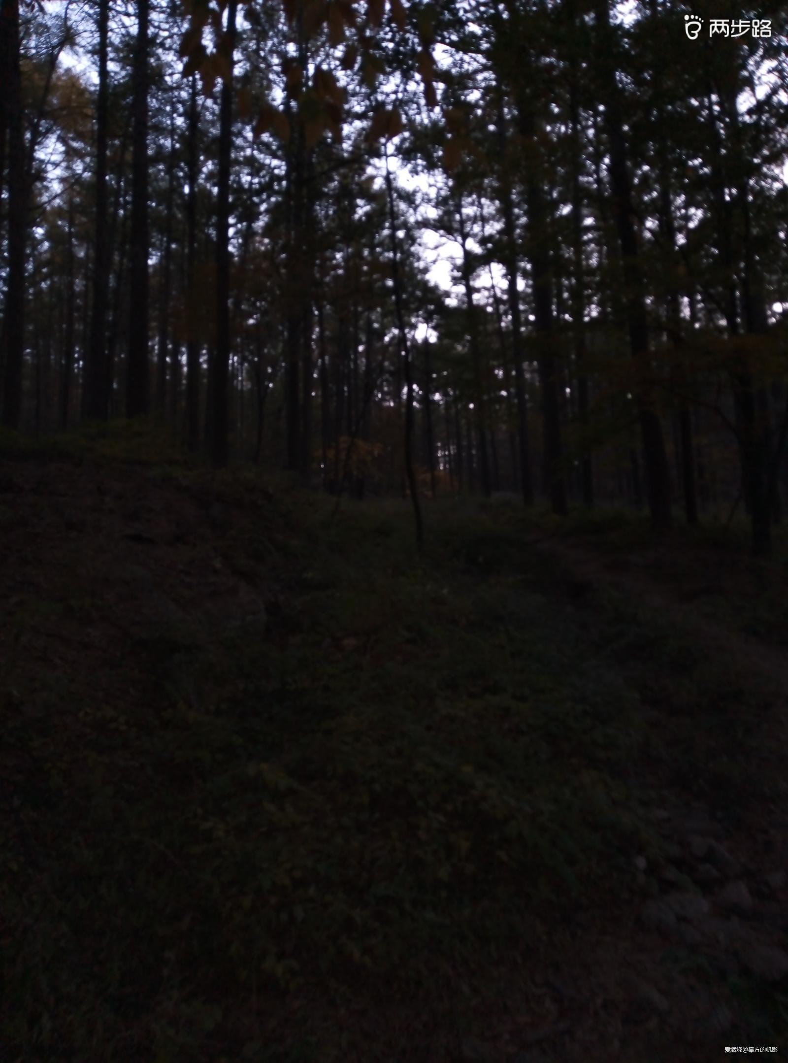 与其苦练穿墙术 不如逐鹿山海间——崂山100国际山地越野赛参赛回顾