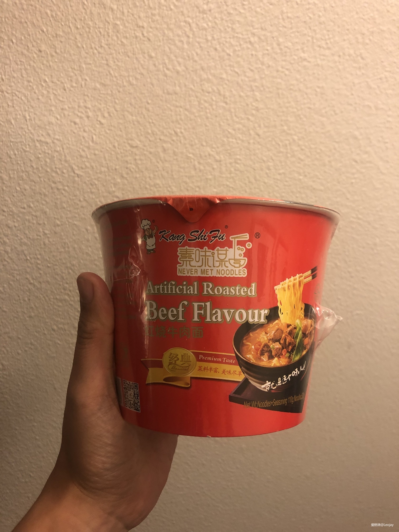 风之城的奔跑——2019芝加哥马拉松赛记