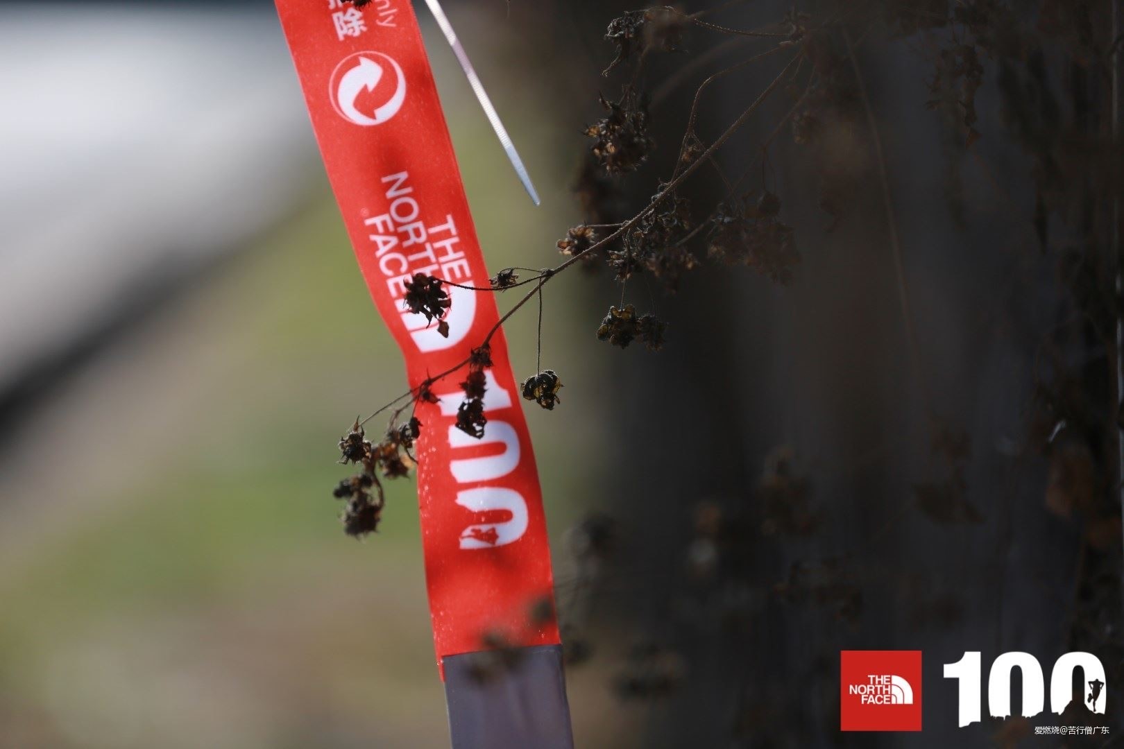 冰火两重天快穿TNF沈阳站80K