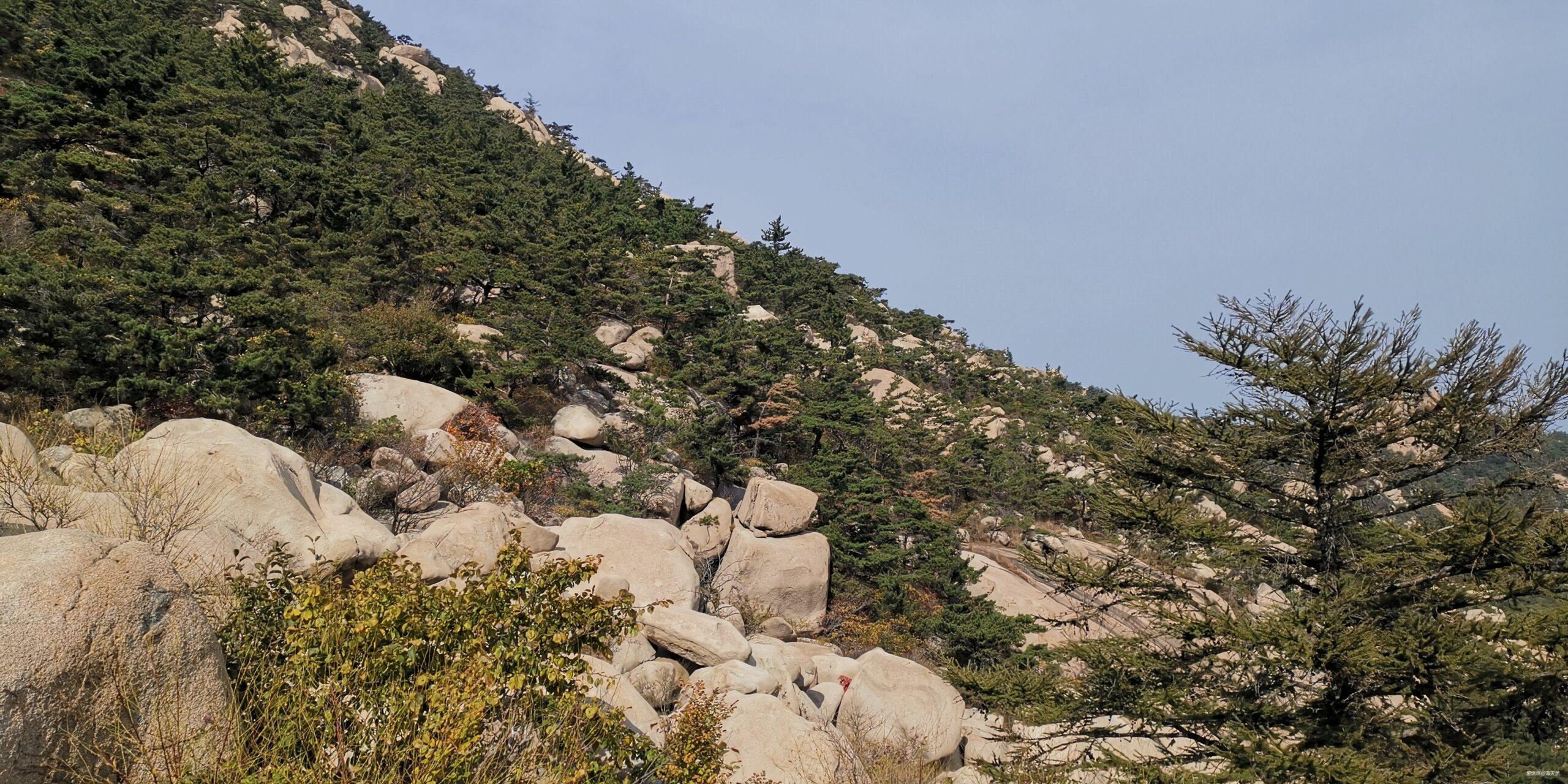 道士巡山——崂山百公里越野赛记