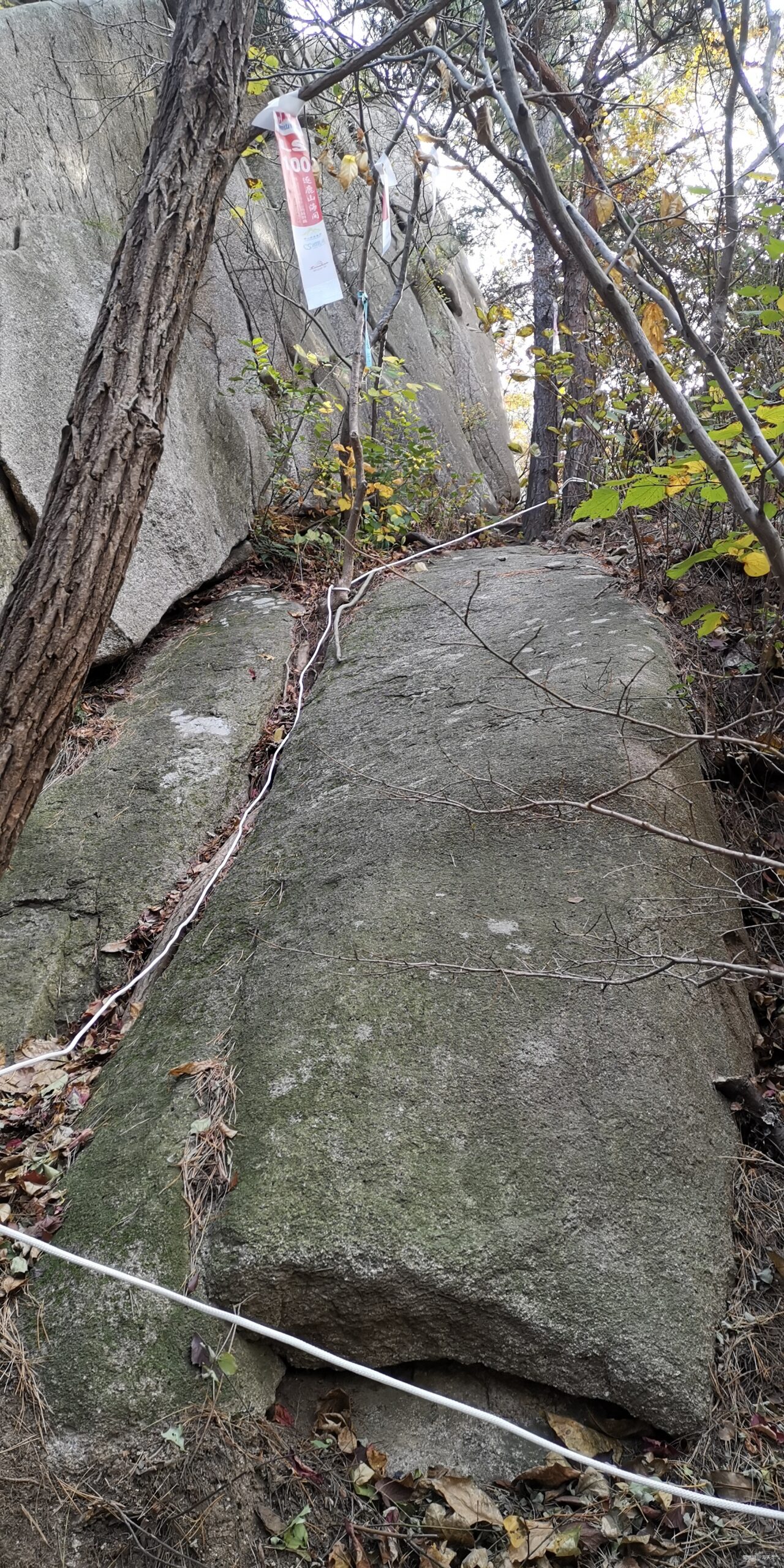 道士巡山——崂山百公里越野赛记