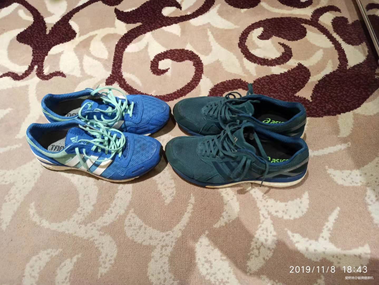 一张拼尽全力却没有做好的期末答卷——2019年济南12小时超级马拉松赛记