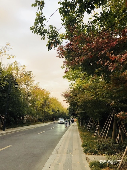 2019年威斯西湖跑山｜极简跑者的极简赛事