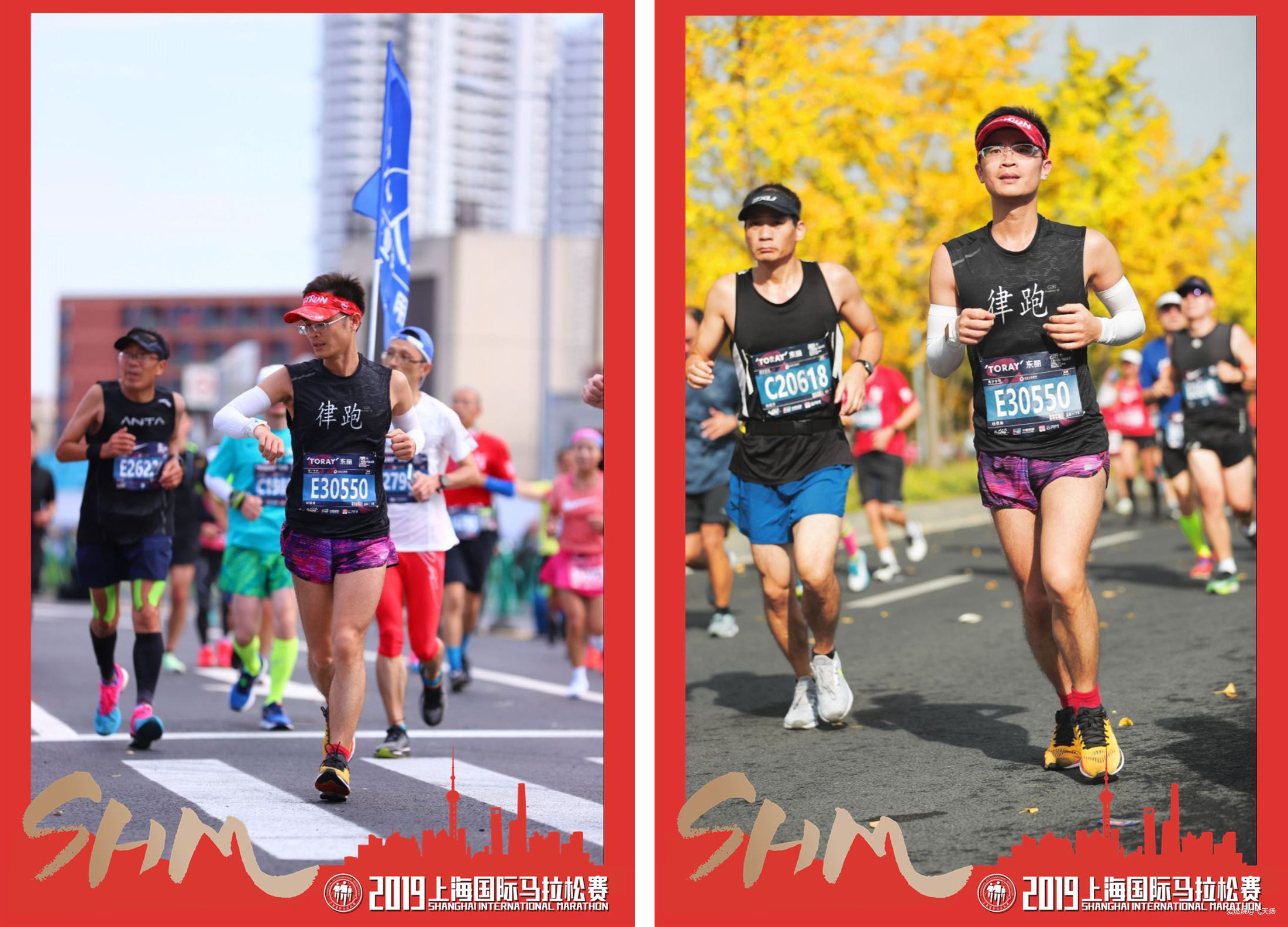 风来了，这次我要认真地追