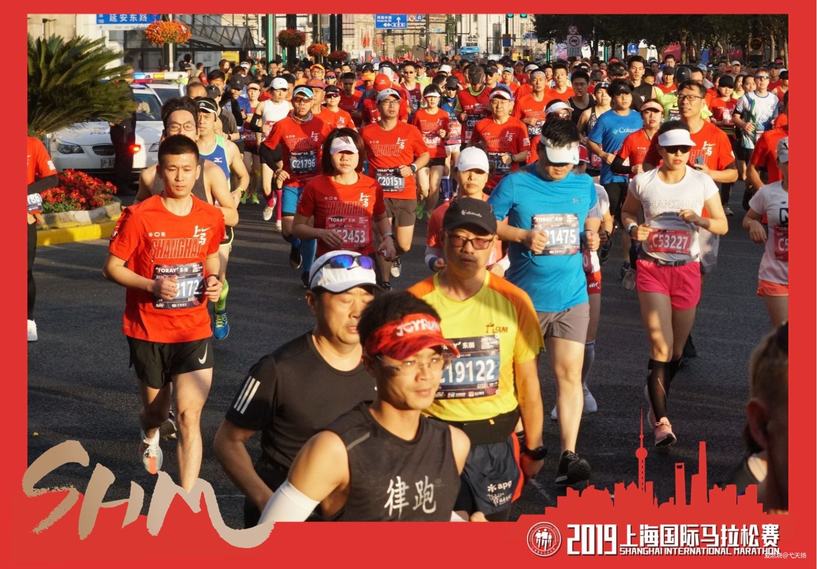 风来了，这次我要认真地追