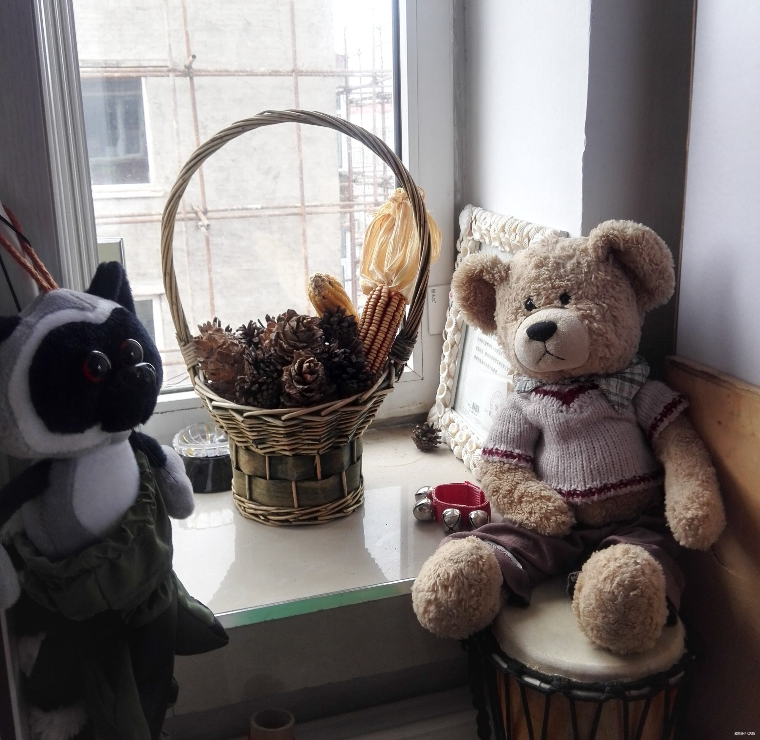 风来了，这次我要认真地追