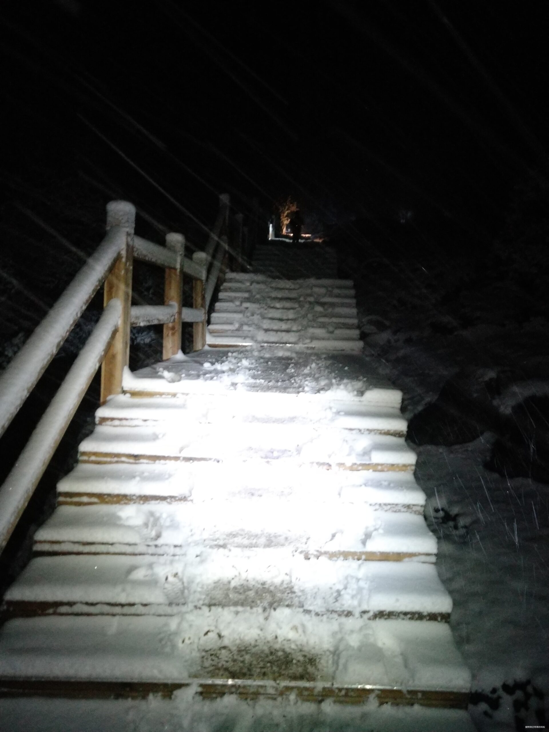 赴约四姑娘山—75km组未完赛记—蚂蚁