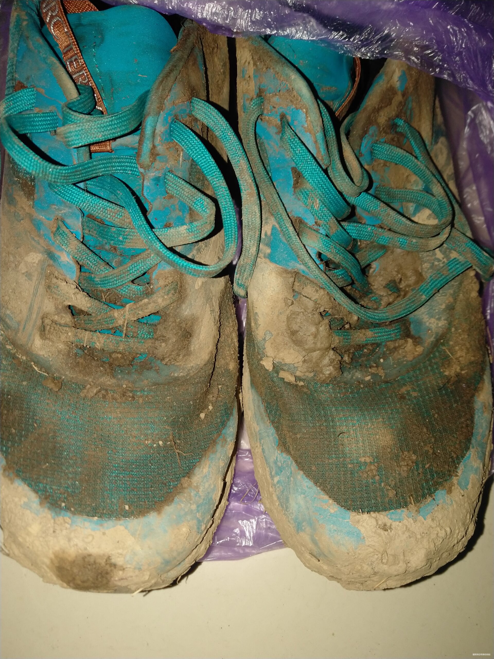 赴约四姑娘山—75km组未完赛记—蚂蚁