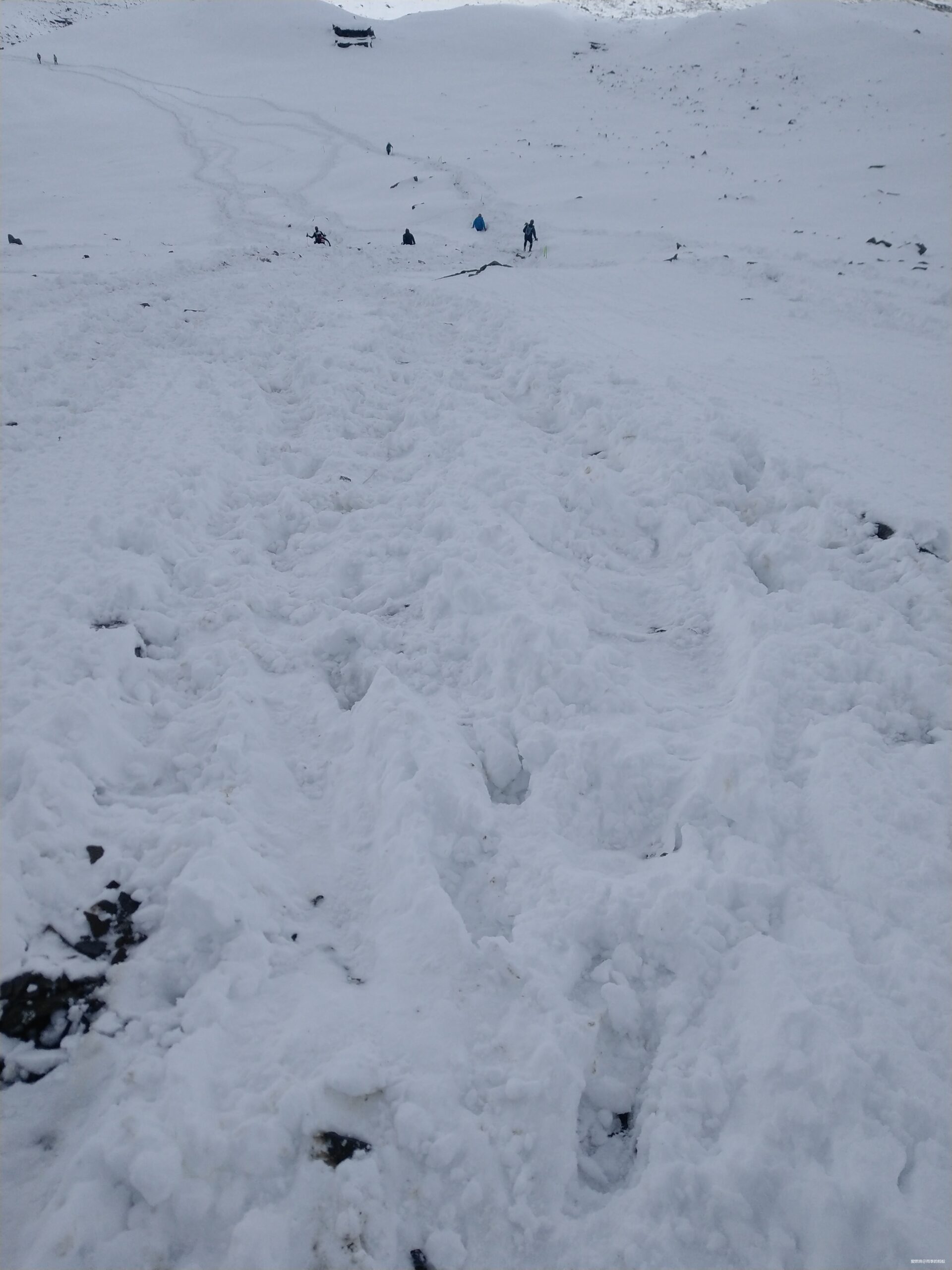 赴约四姑娘山—75km组未完赛记—蚂蚁