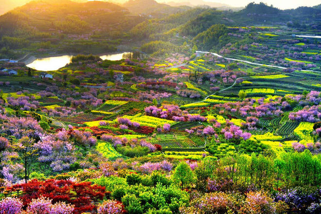 误入花深处，惜流年，忆江南 ｜ 2019江南百英里越野赛