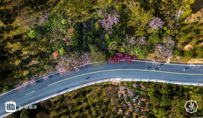 误入花深处，惜流年，忆江南 ｜ 2019江南百英里越野赛