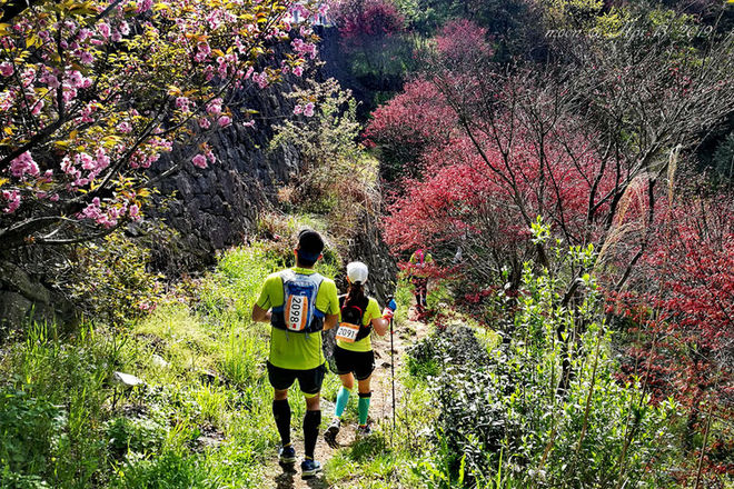 误入花深处，惜流年，忆江南 ｜ 2019江南百英里越野赛