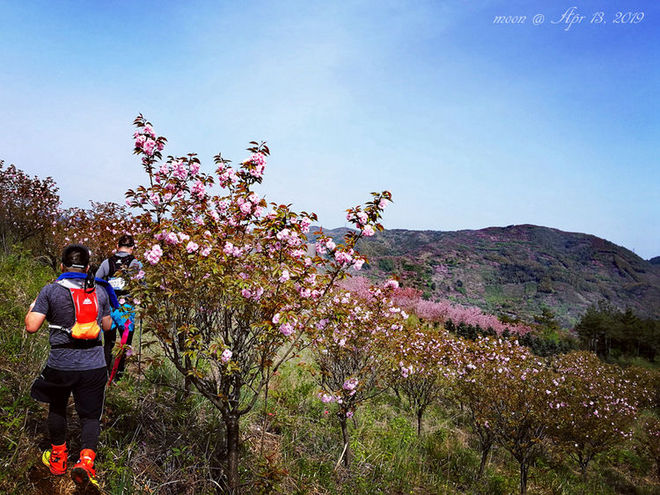 误入花深处，惜流年，忆江南 ｜ 2019江南百英里越野赛