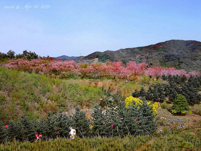 误入花深处，惜流年，忆江南 ｜ 2019江南百英里越野赛