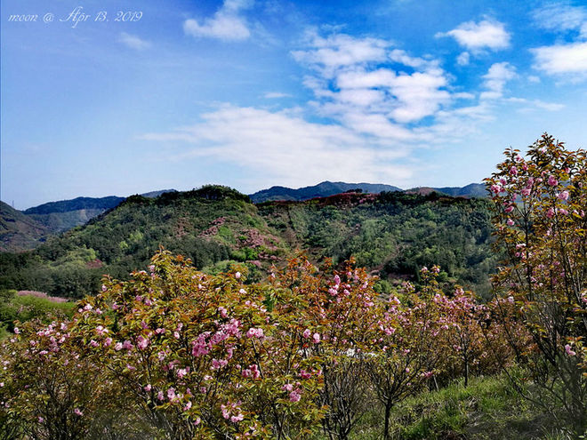 误入花深处，惜流年，忆江南 ｜ 2019江南百英里越野赛
