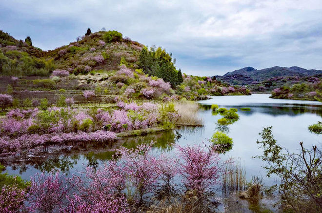 误入花深处，惜流年，忆江南 ｜ 2019江南百英里越野赛