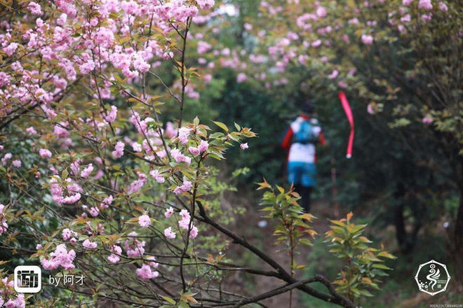 误入花深处，惜流年，忆江南 ｜ 2019江南百英里越野赛