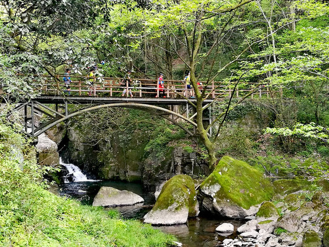 误入花深处，惜流年，忆江南 ｜ 2019江南百英里越野赛