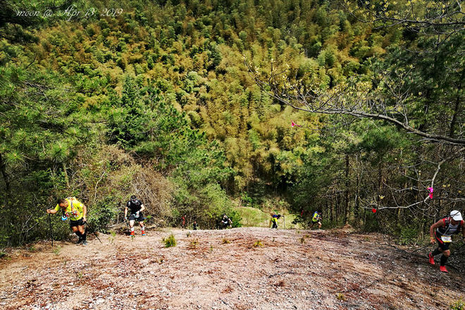 误入花深处，惜流年，忆江南 ｜ 2019江南百英里越野赛