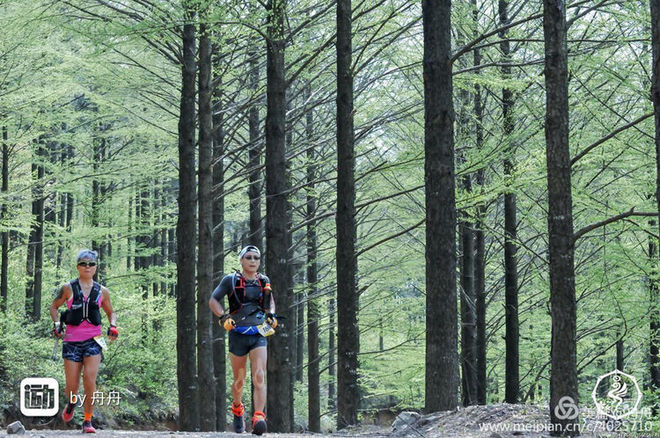误入花深处，惜流年，忆江南 ｜ 2019江南百英里越野赛