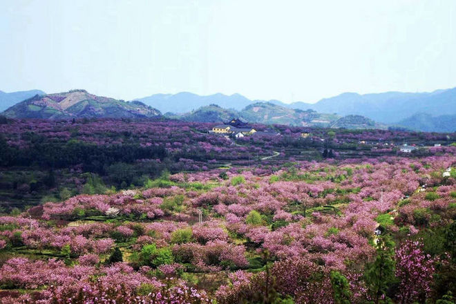 误入花深处，惜流年，忆江南 ｜ 2019江南百英里越野赛