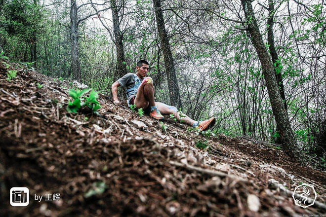 误入花深处，惜流年，忆江南 ｜ 2019江南百英里越野赛