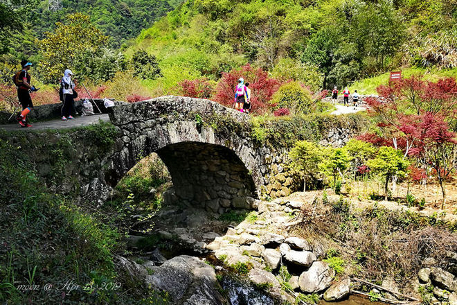 误入花深处，惜流年，忆江南 ｜ 2019江南百英里越野赛