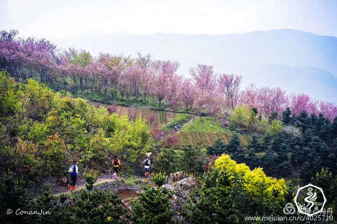 误入花深处，惜流年，忆江南 ｜ 2019江南百英里越野赛
