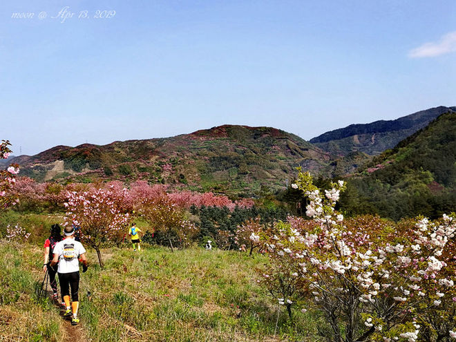 误入花深处，惜流年，忆江南 ｜ 2019江南百英里越野赛