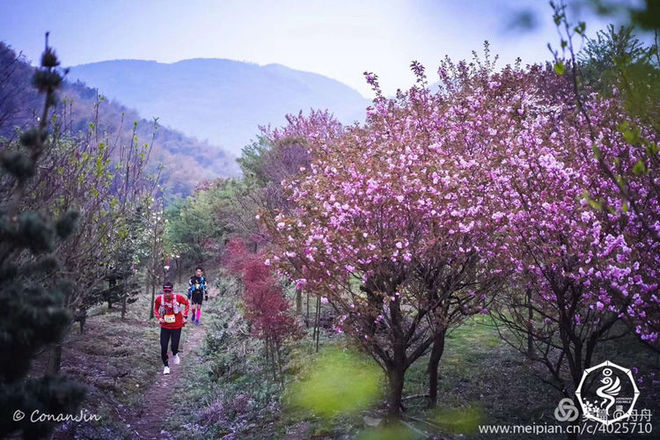 误入花深处，惜流年，忆江南 ｜ 2019江南百英里越野赛