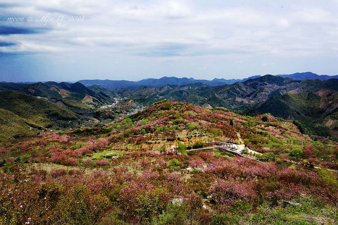 误入花深处，惜流年，忆江南 ｜ 2019江南百英里越野赛
