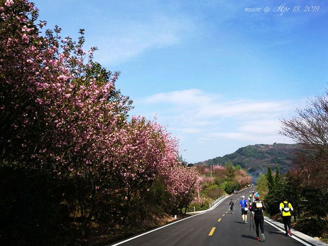 误入花深处，惜流年，忆江南 ｜ 2019江南百英里越野赛