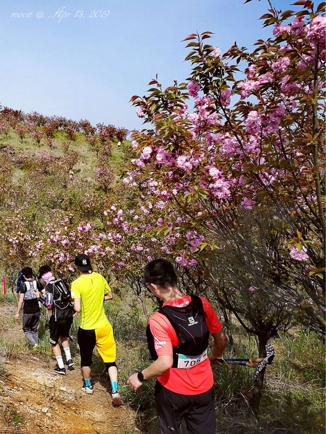 误入花深处，惜流年，忆江南 ｜ 2019江南百英里越野赛