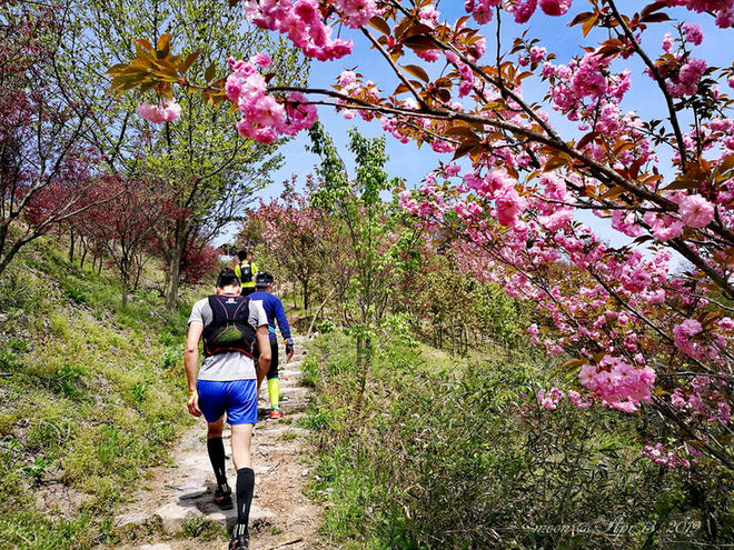 误入花深处，惜流年，忆江南 ｜ 2019江南百英里越野赛