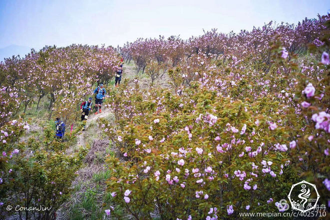 误入花深处，惜流年，忆江南 ｜ 2019江南百英里越野赛