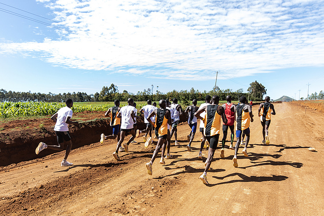 训练的“质量”比“数量”更重要吗？