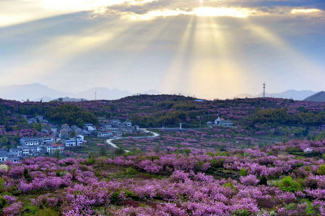 误入花深处，惜流年，忆江南 ｜ 2019江南百英里越野赛