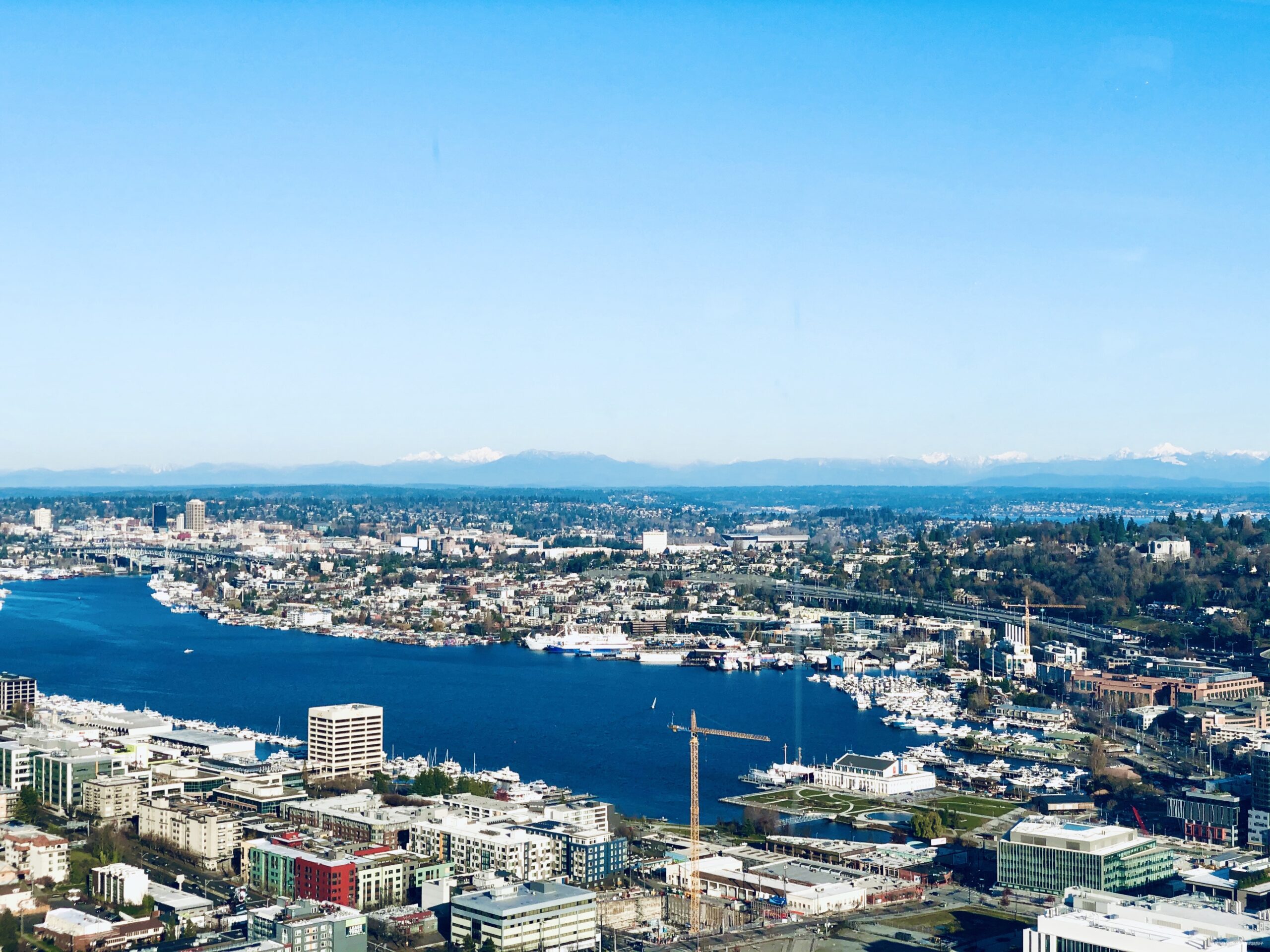 邂逅西雅图马拉松五十周年