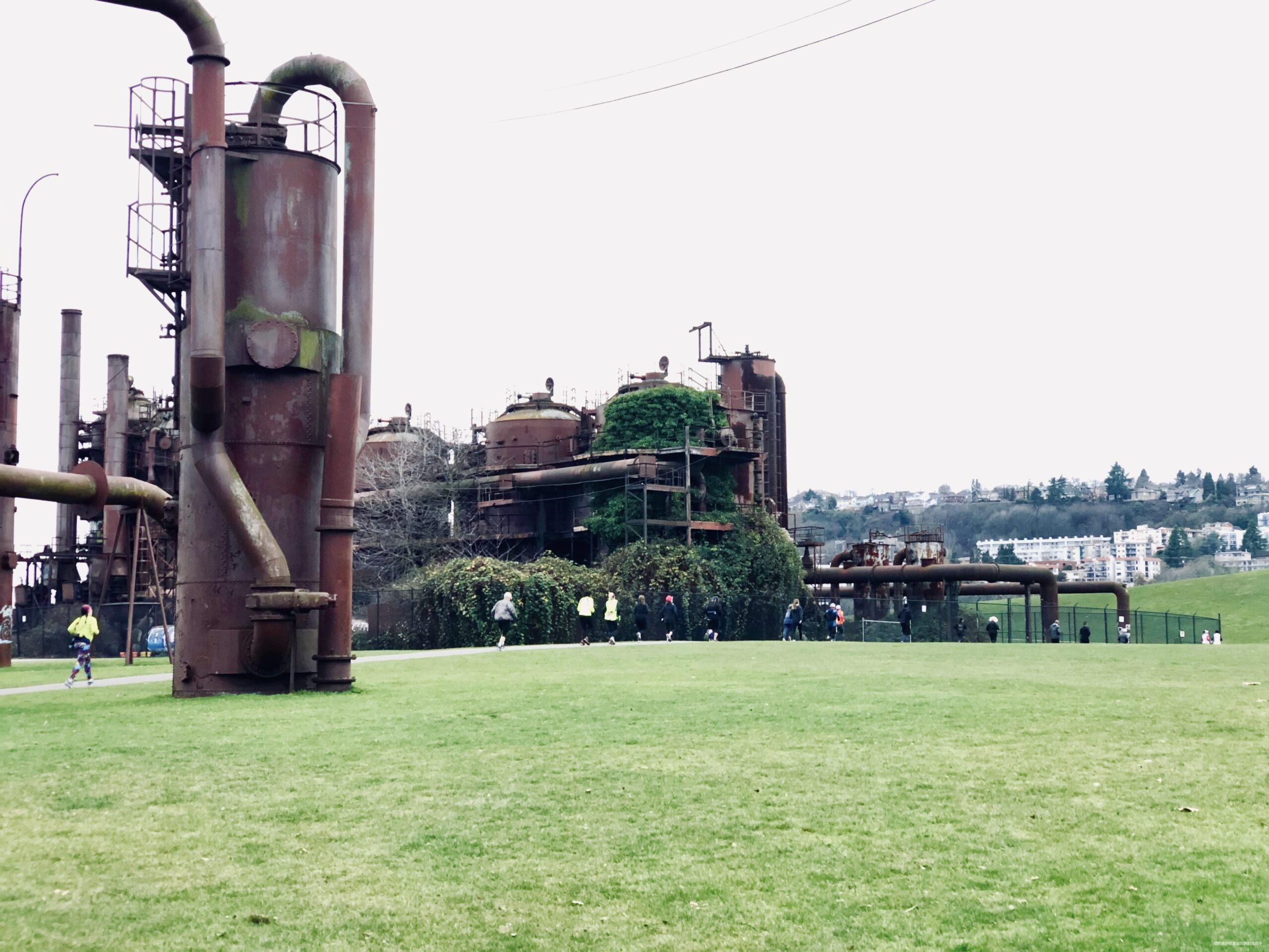 邂逅西雅图马拉松五十周年