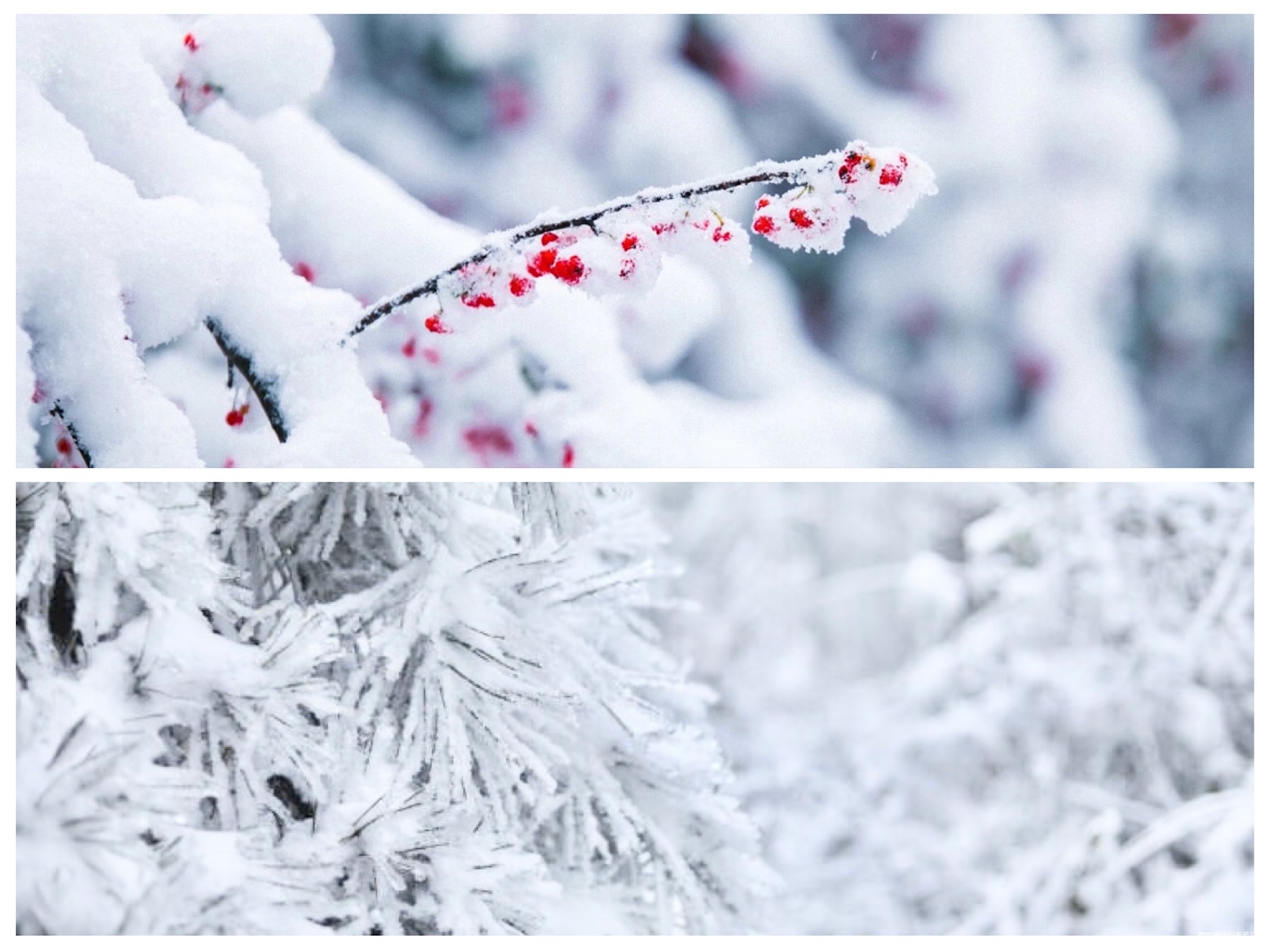 雄关漫道，封神梦断——2019雷越野中国三峡超级越野赛记（若凡）