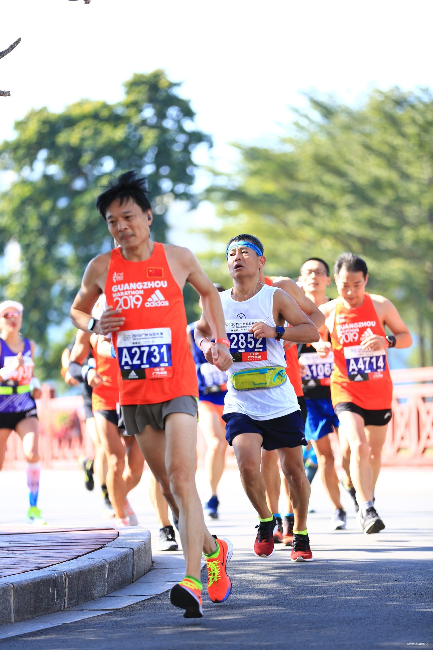 天下跑功，唯爱不破 ——2019广州马拉松跑记