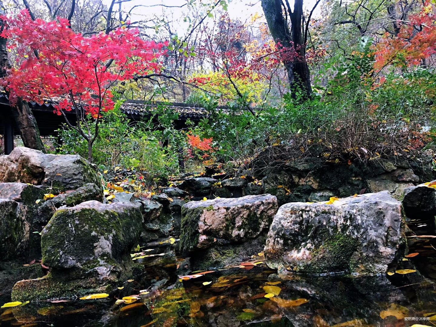 北山北，南山难