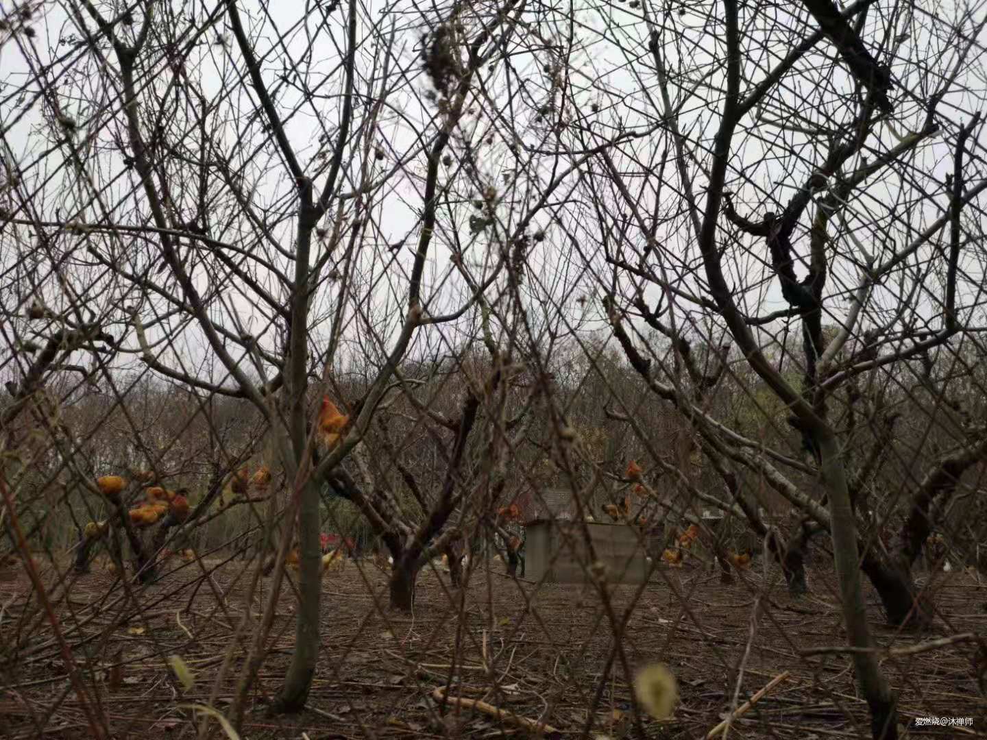 北山北，南山难