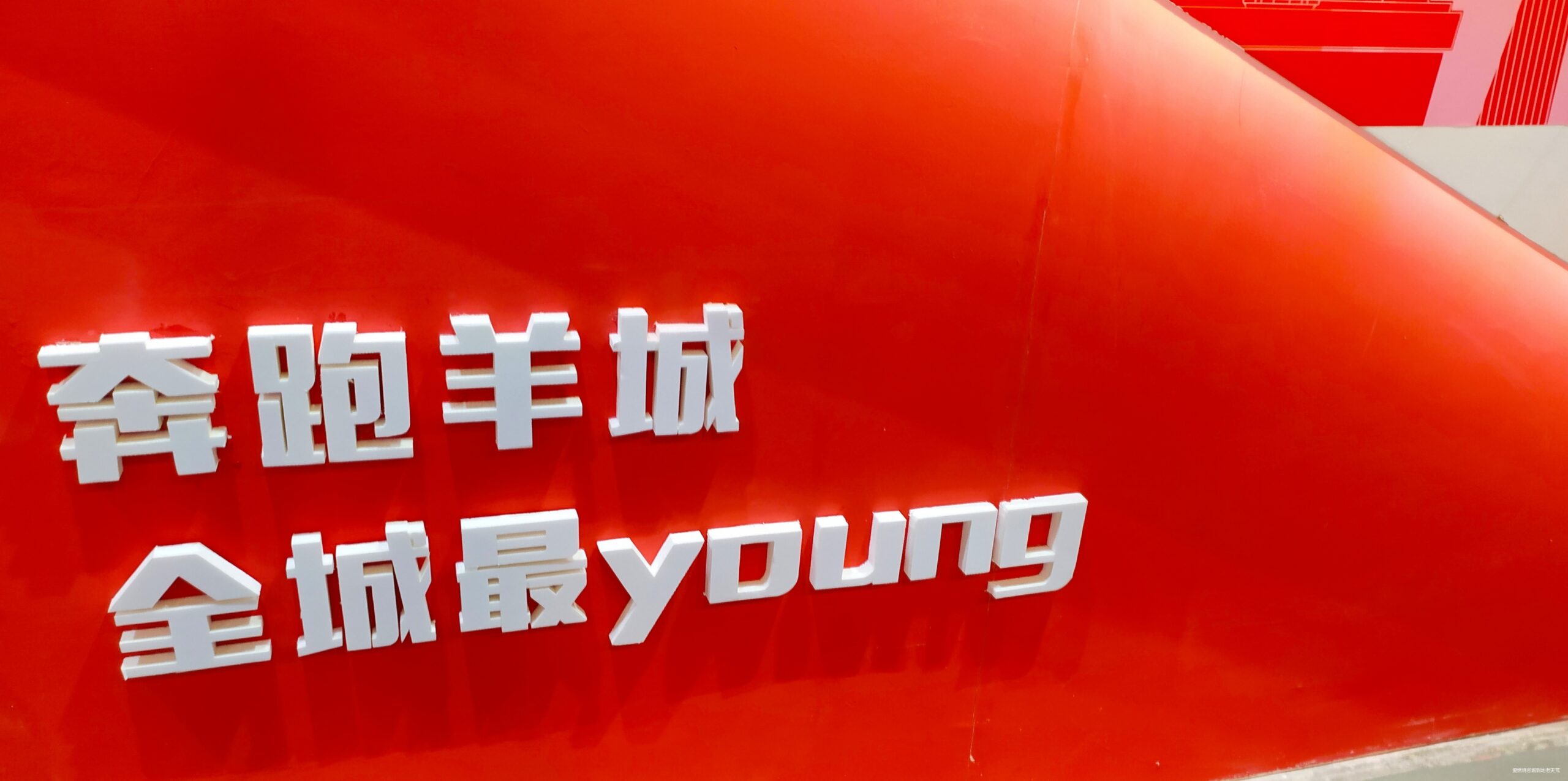 一起慢慢，数数羊城几只羊？——记2019广州马拉松（by跑到地老天荒）