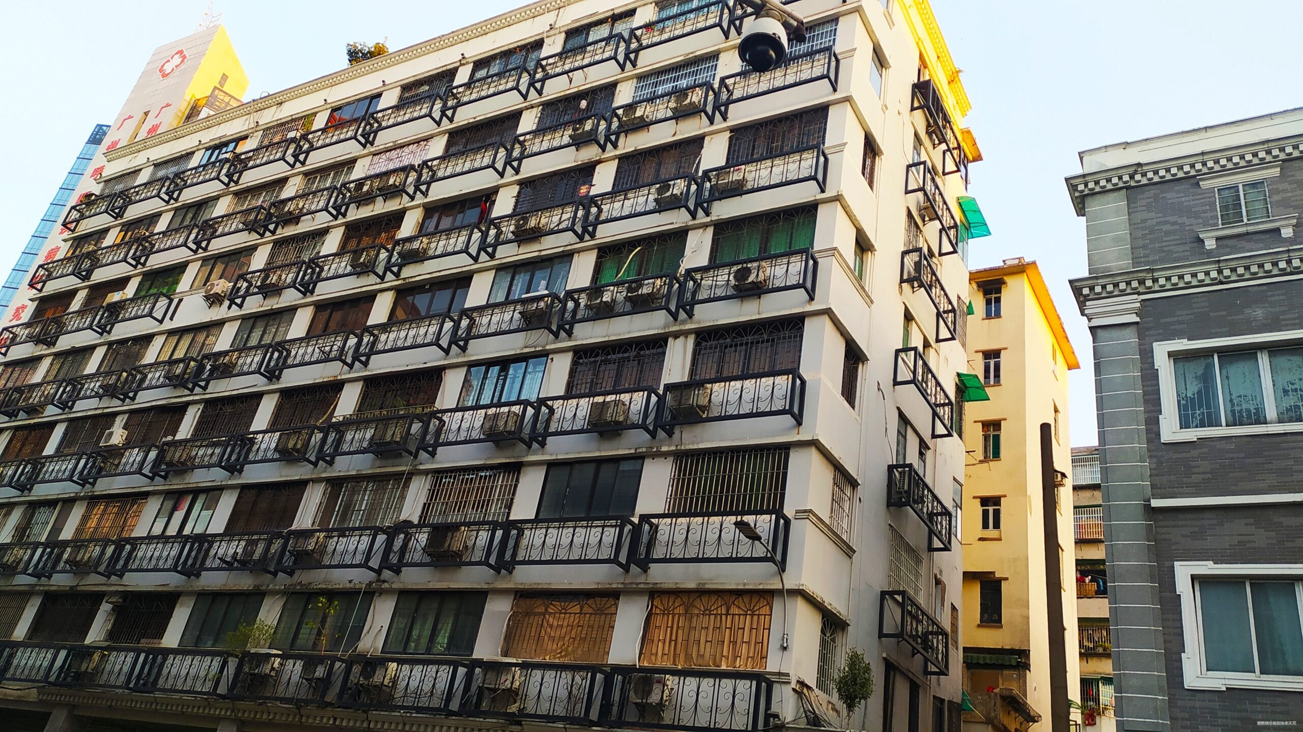 一起慢慢，数数羊城几只羊？——记2019广州马拉松（by跑到地老天荒）